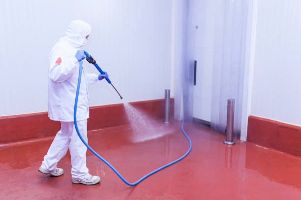Best Solar Panel Cleaning  in Meridian, MS